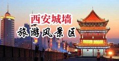 骚女网站在线免费看中国陕西-西安城墙旅游风景区